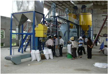 Hệ thống thiết bị chế biến hạt giống cây trồng